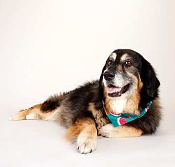 Photo of Tilly