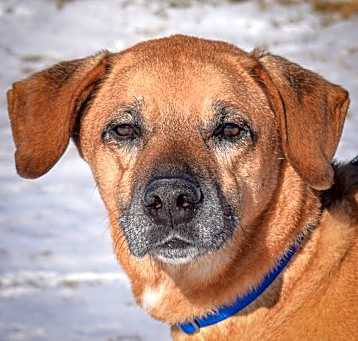 Photo of Harley