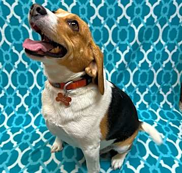 Photo of Baylee