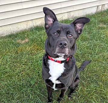 Photo of Bronx