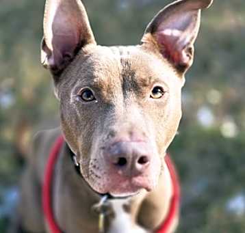 Photo of Delgado