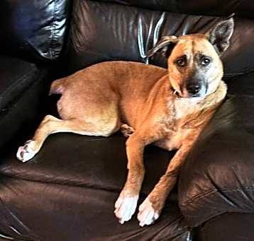 Photo of Bagel
