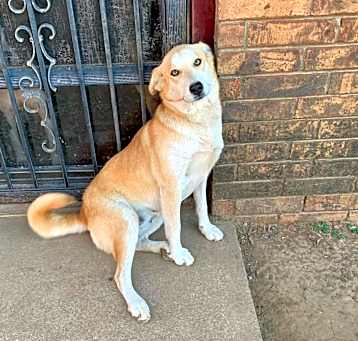 Photo of Dakota
