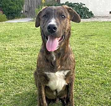 Photo of Atlas