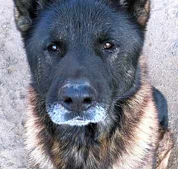 Photo of Bronx