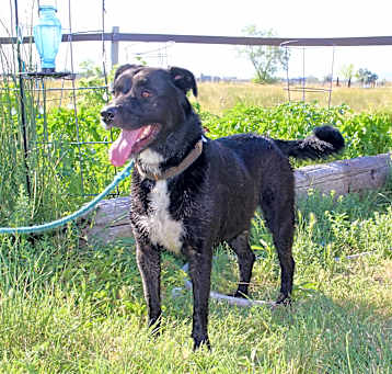 Photo of Moxie