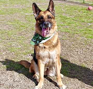 Photo of Darla