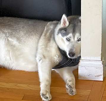 Photo of Blue