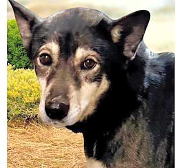 Photo of Cassidy