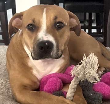 Photo of Bailey Kay