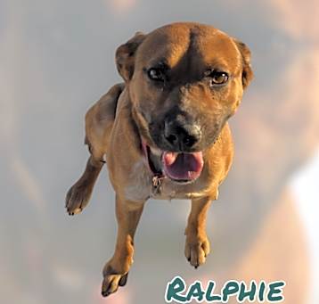 Photo of RALPHIE