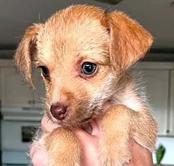 Photo of Mabel