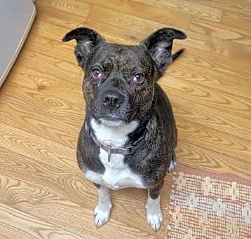 Photo of Ellie