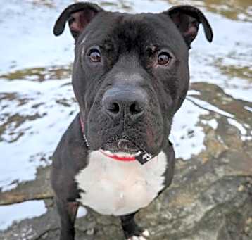 Photo of Riggs
