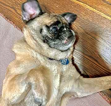 Photo of Turo