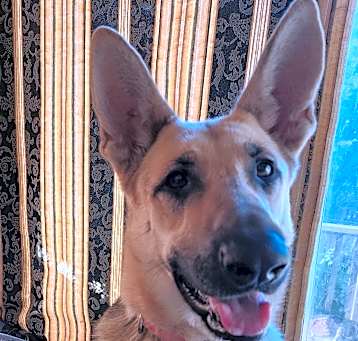 Photo of Buffy