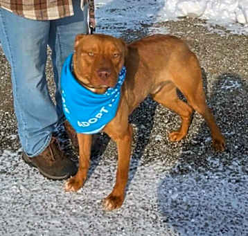 Photo of Axle
