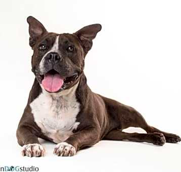 Photo of Jayda - F