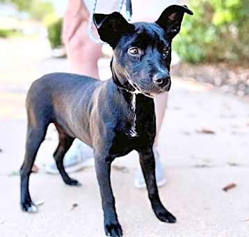 Photo of Kiva