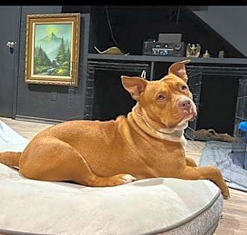 Photo of Phatgirl