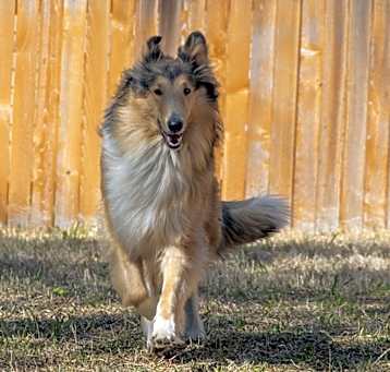 Photo of Molly