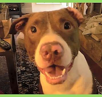 Photo of Cash