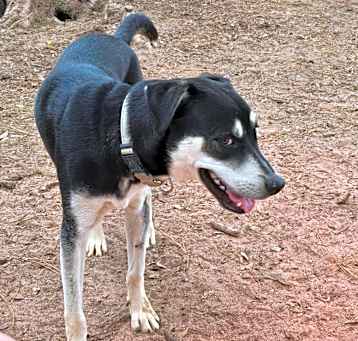 Photo of Bentley