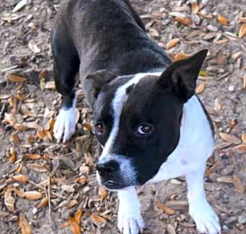 Photo of Chi Chi