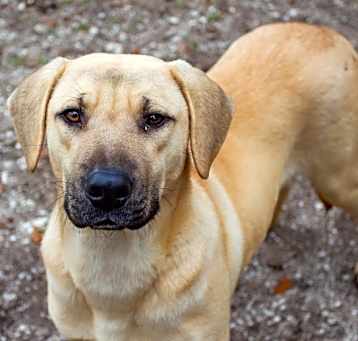 Photo of Dasher