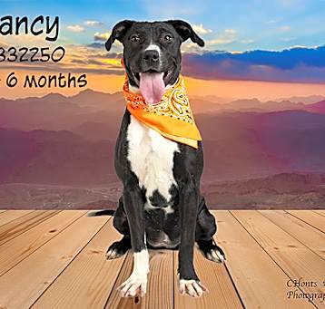 Photo of NANCY