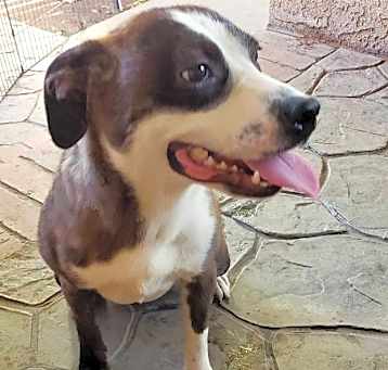 Photo of CHARM