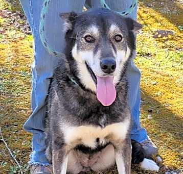 Photo of Cassidy