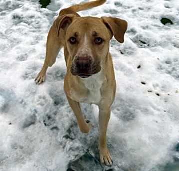 Photo of Jacomo