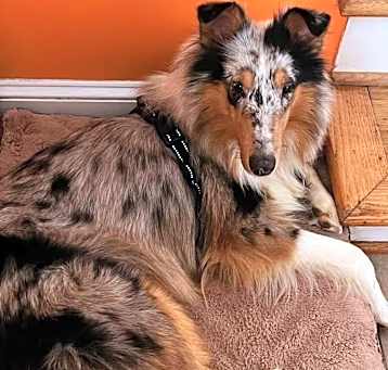 Photo of Storm