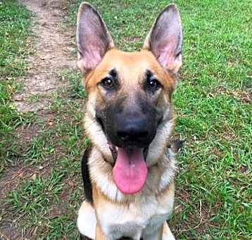 Photo of Thor
