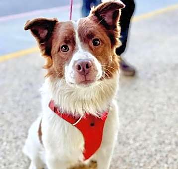 Photo of Kujo