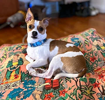 Photo of Tank
