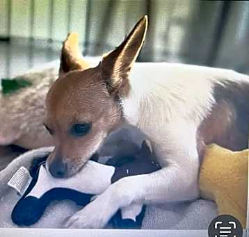 Photo of Wilma