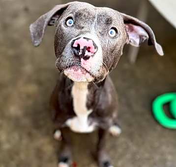 Photo of Jingle