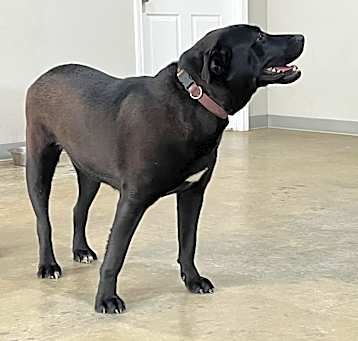 Photo of Annie