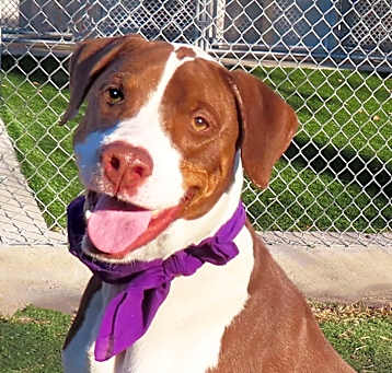 Photo of Oakley