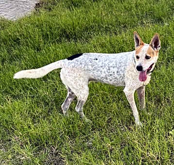 Photo of Reno