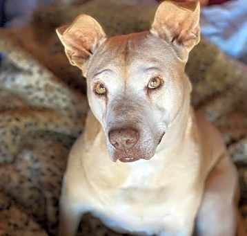 Photo of Missy