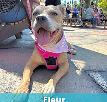 Photo of Fleur