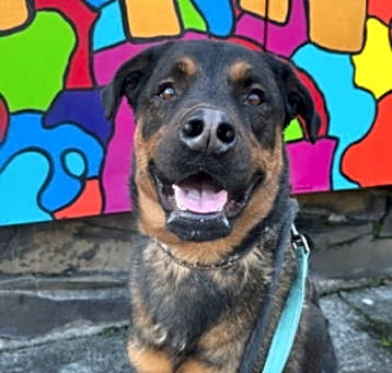 Photo of Jude