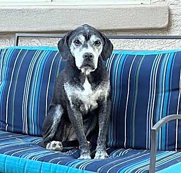 Photo of Darla
