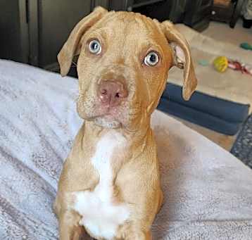 Photo of Jazz