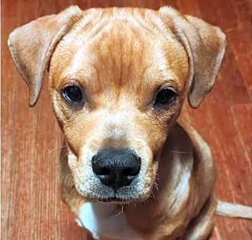 Photo of Bentley
