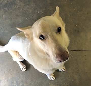 Photo of Major