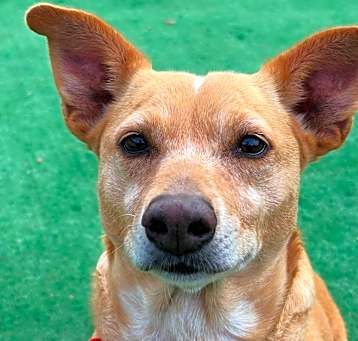 Photo of ROXY